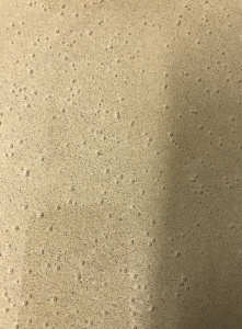 Concrete Bubbles On Concrete Finish